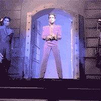 Prince batman partyman