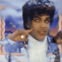 Prince rspberry beret