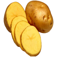 Potato