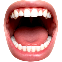 Teeth OPen Mouth