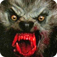 American Werewolf In London